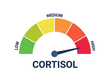 how cortisol affects your health
