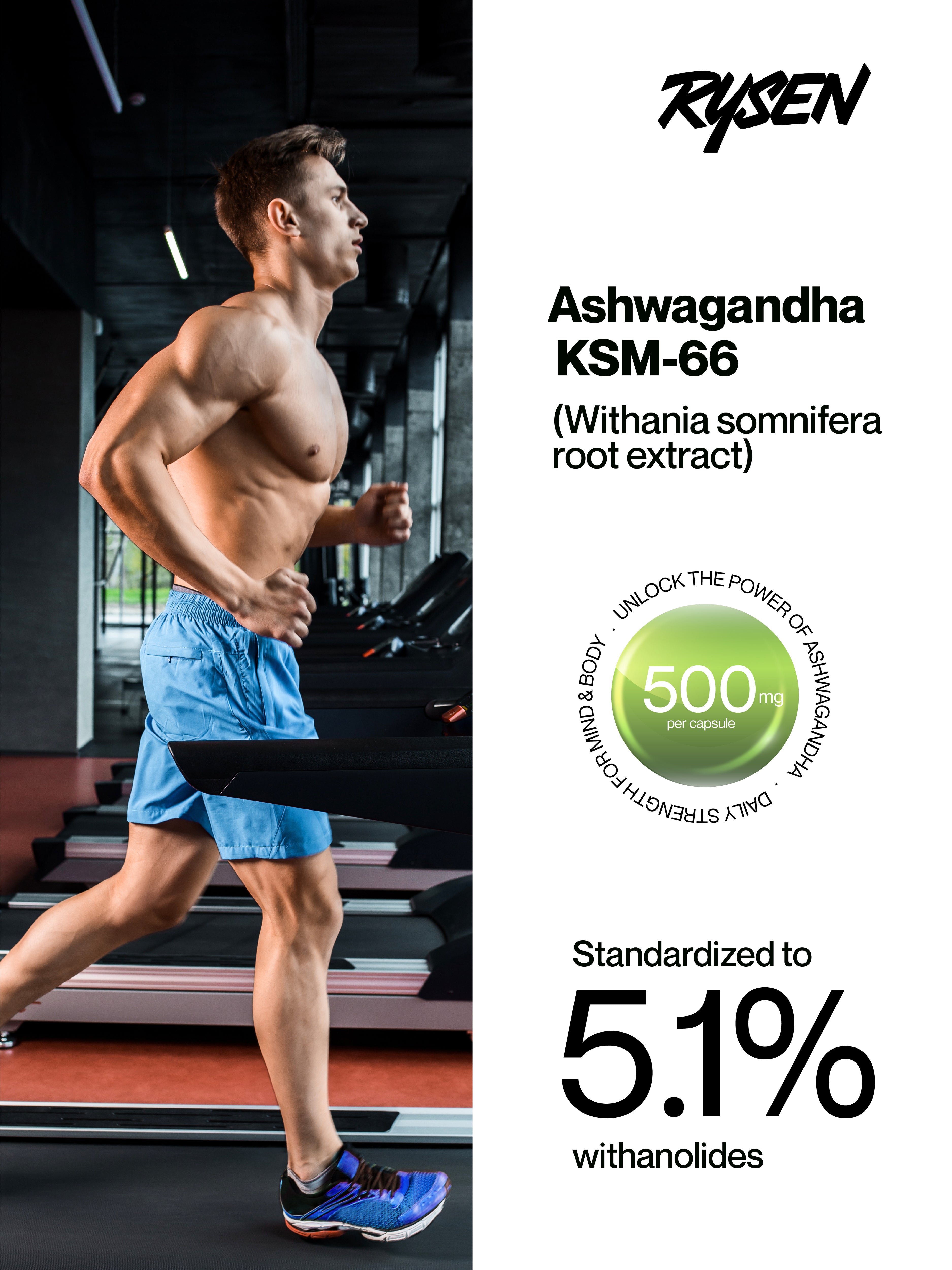 Rysen Ashwagandha KSM-66 – 500mg | Stress, Focus, Mood & Sleep (60 Capsules)