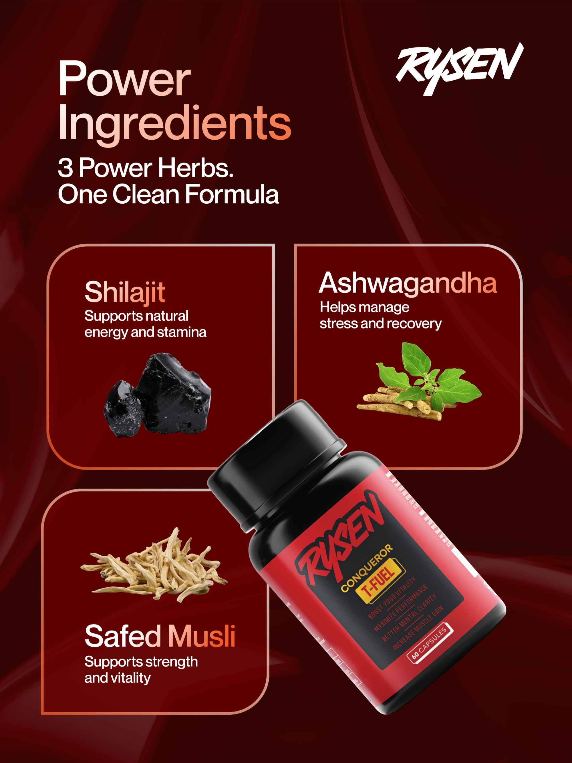 Rysen Conqueror T-Fuel – Vitality, Performance & Strength (60 Capsules)